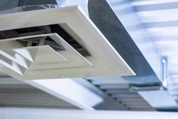 Best Affordable Duct Cleaning Services  in Avondale, AZ