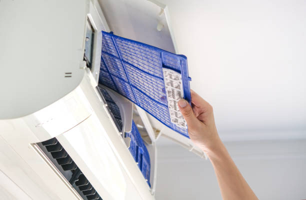 Best Local Air Duct Cleaning Services  in Avondale, AZ